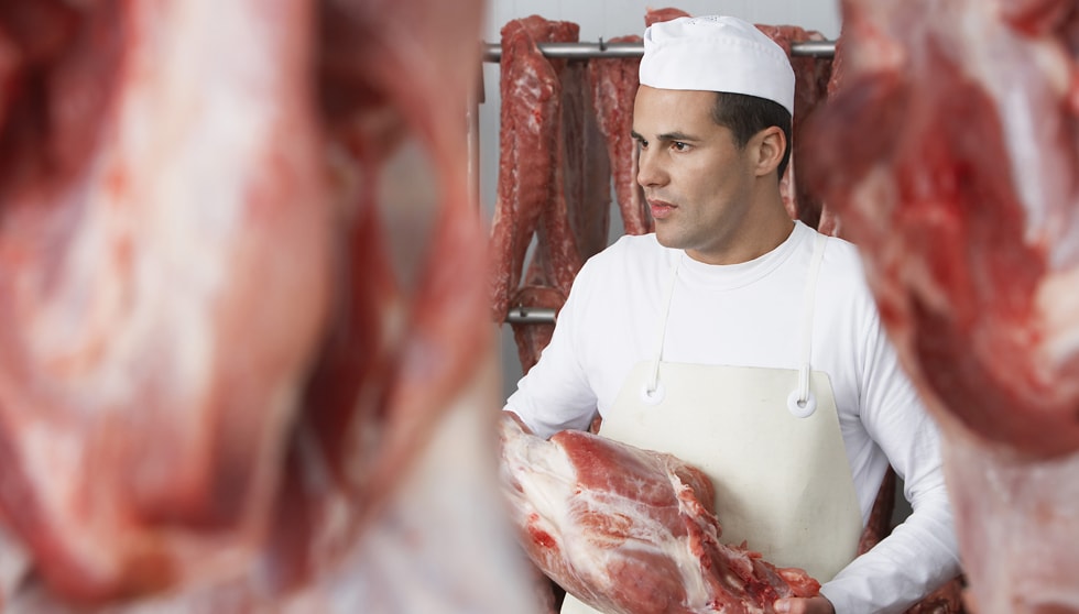 Warehouse Management Executive in Meat Processing Plants - Industries