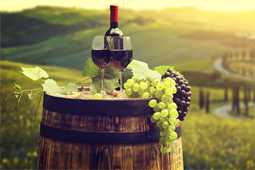 Wine Tourism Development Executive