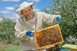 Τεχνίτης Μελισσοκομίας