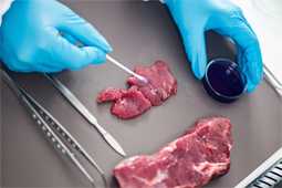 Στέλεχος Τμήματος Υγιεινής και Ασφάλειας Τροφίμων σε επιχειρήσεις επεξεργασίας κρέατος